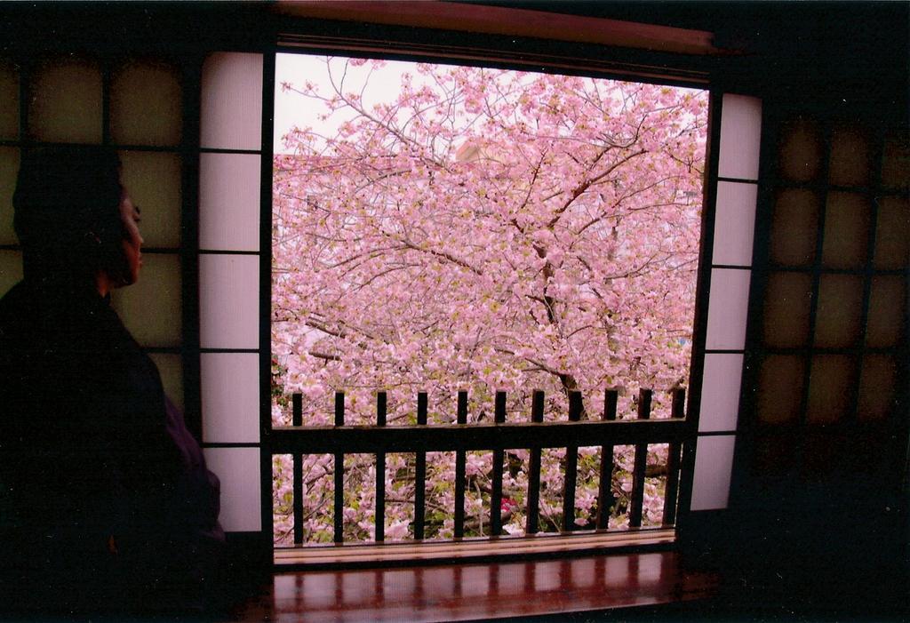 Tabi No Yado Satsuki Hotel Hita Kültér fotó