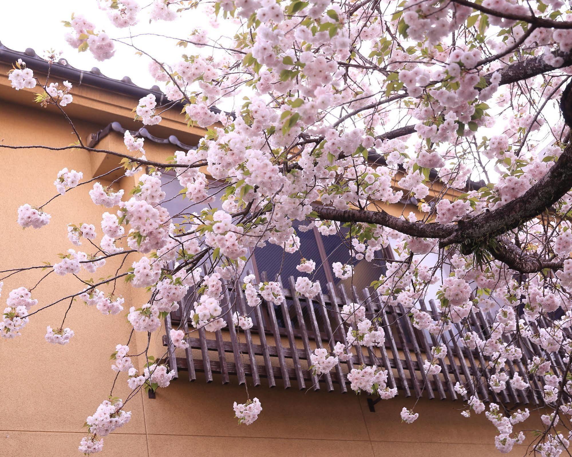 Tabi No Yado Satsuki Hotel Hita Kültér fotó