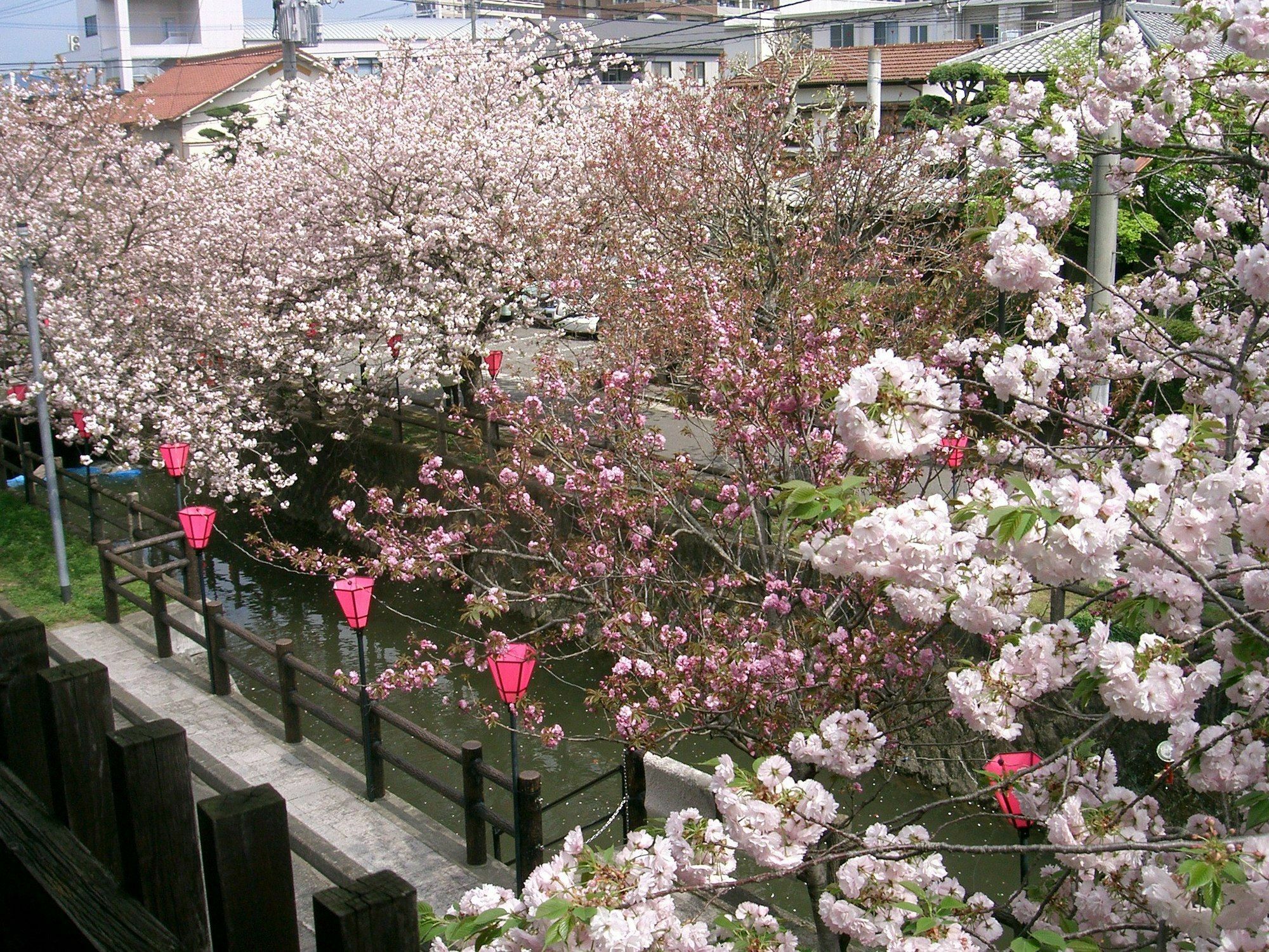 Tabi No Yado Satsuki Hotel Hita Kültér fotó